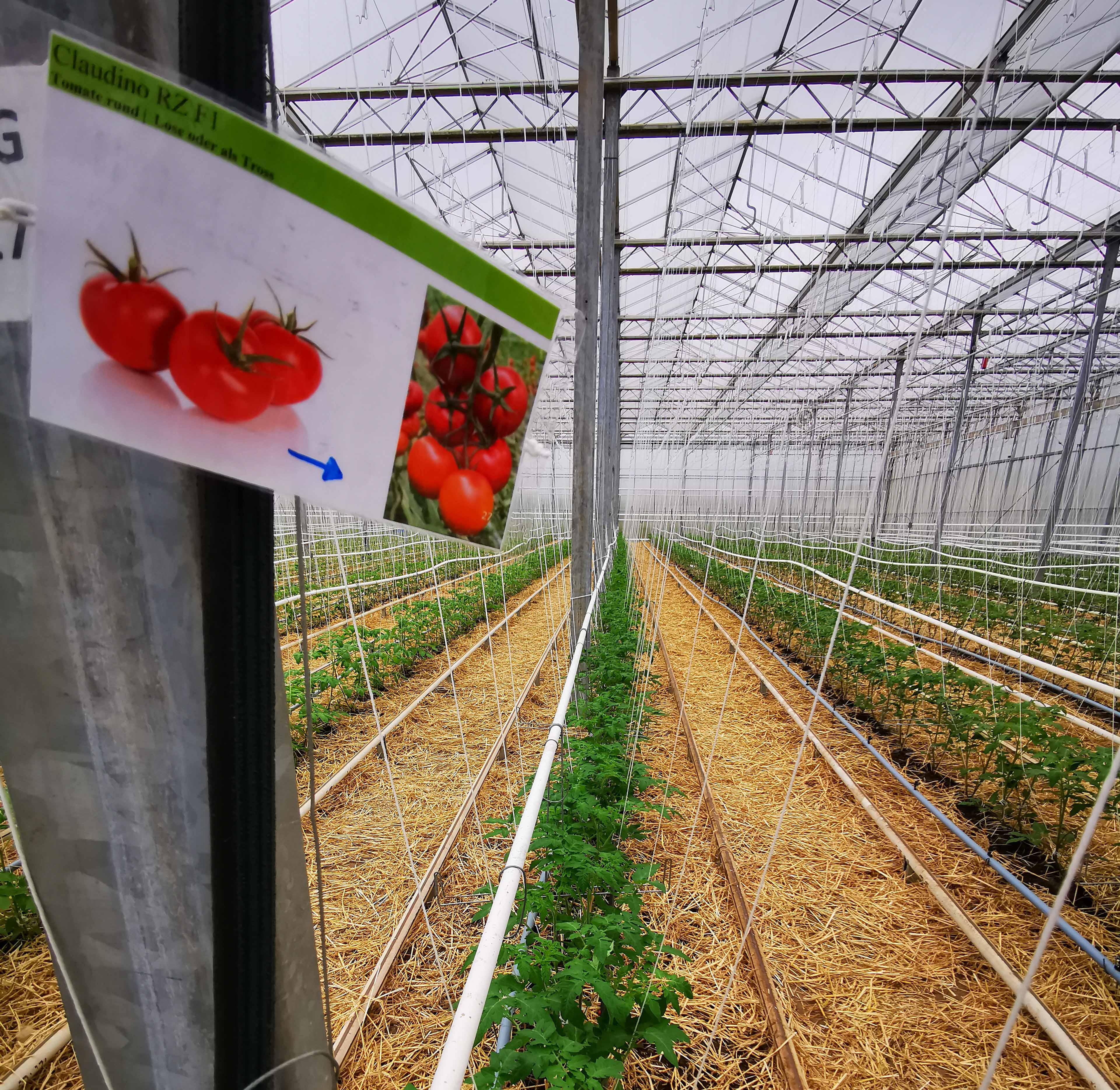 Pflanzzeit in unserer Betriebsstätte Biohof Aga