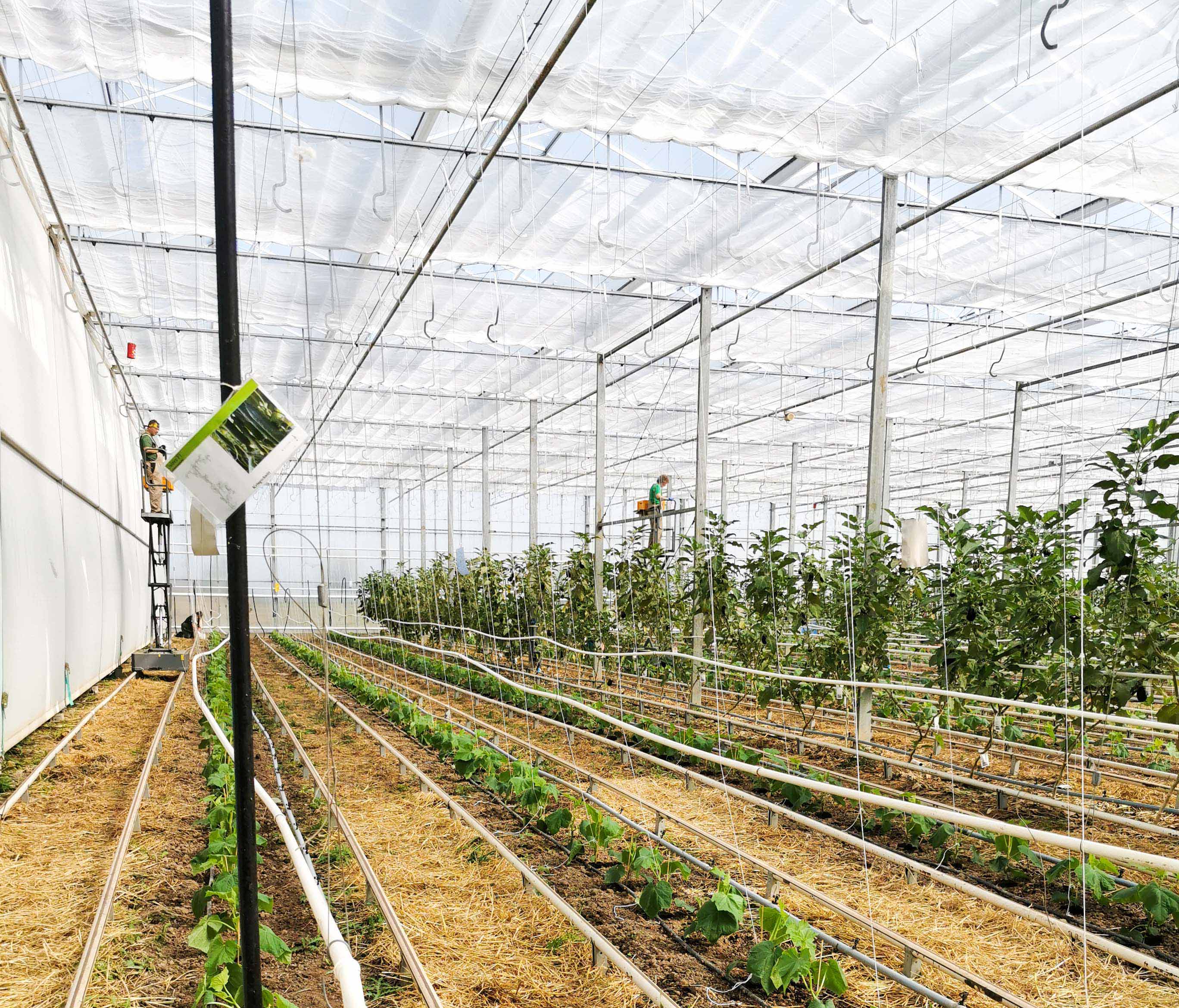 Neue Pflanzen für die Betriebsstätte Biohof Aga